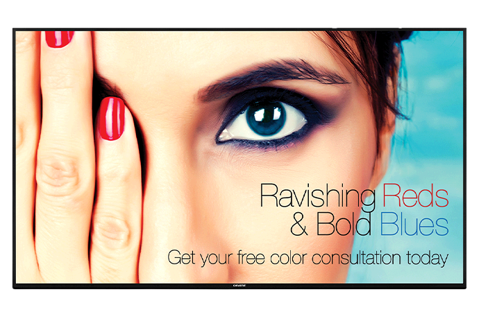 Christie Access Series LCD panels