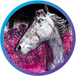 projection mapping and water mapping