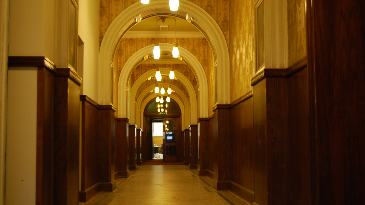 The interior of a high-end cinema auditorium featuring rows of seats in shades of brown, creating a dramatic and elegant atmosphere.