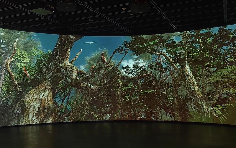 Vivid projections of the Jehol Biota at the main entrance hall