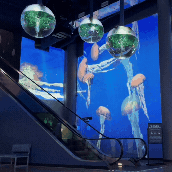 Immersive underwater world powered by Christie 1DLP projectors and Pandoras Box Software and Servers