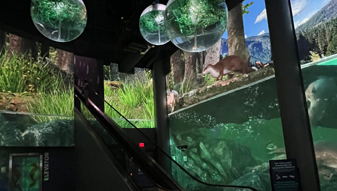 OdySea Aquarium lobby