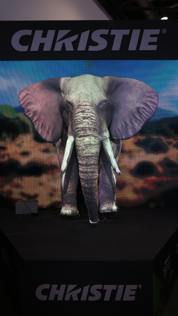 A front view of a projection mapped animatronic elephant.