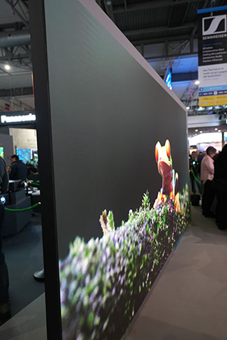 An image of a frog is shown on a large LED video wall on a trade show booth.