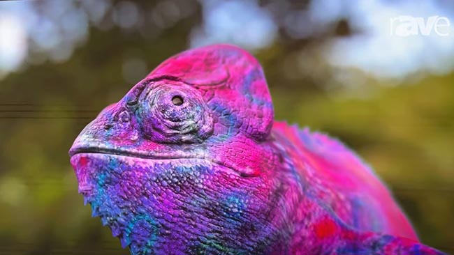 rAVe LED video thumbnail