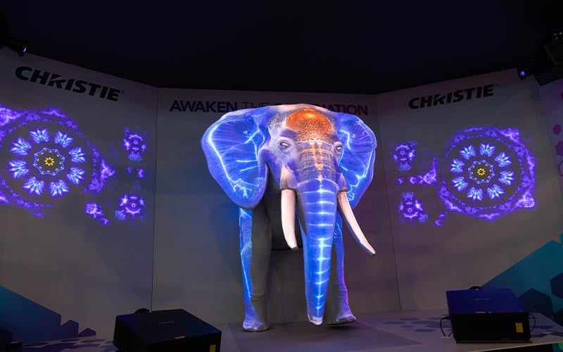 New premium Jazz projection